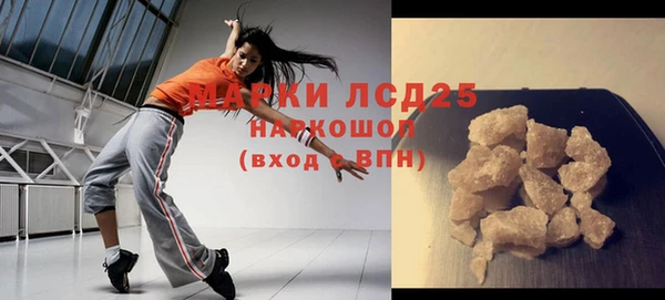 PSILOCYBIN Пересвет