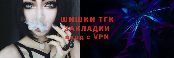 PSILOCYBIN Пересвет