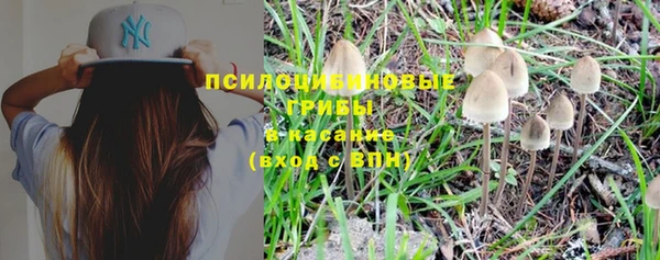 меф Переславль-Залесский