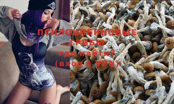 PSILOCYBIN Пересвет