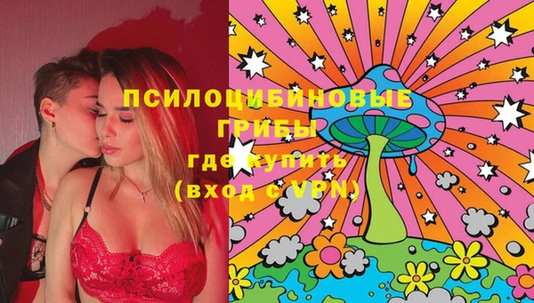 меф Переславль-Залесский