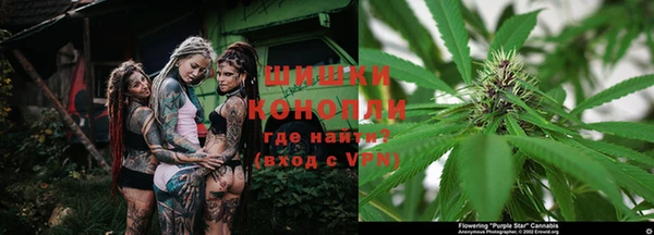 PSILOCYBIN Пересвет